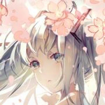 北影节问道体走红